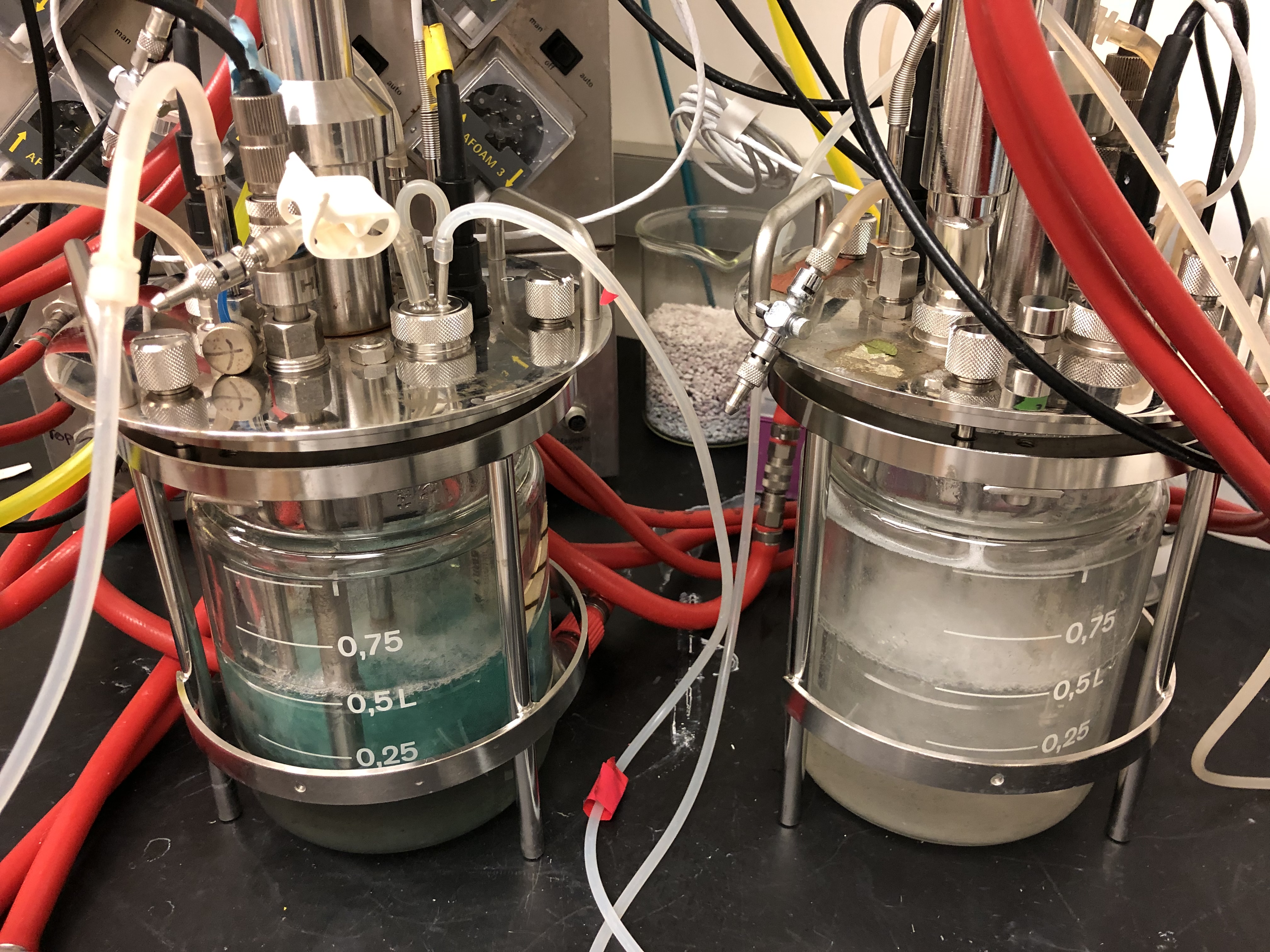 McRose Lab