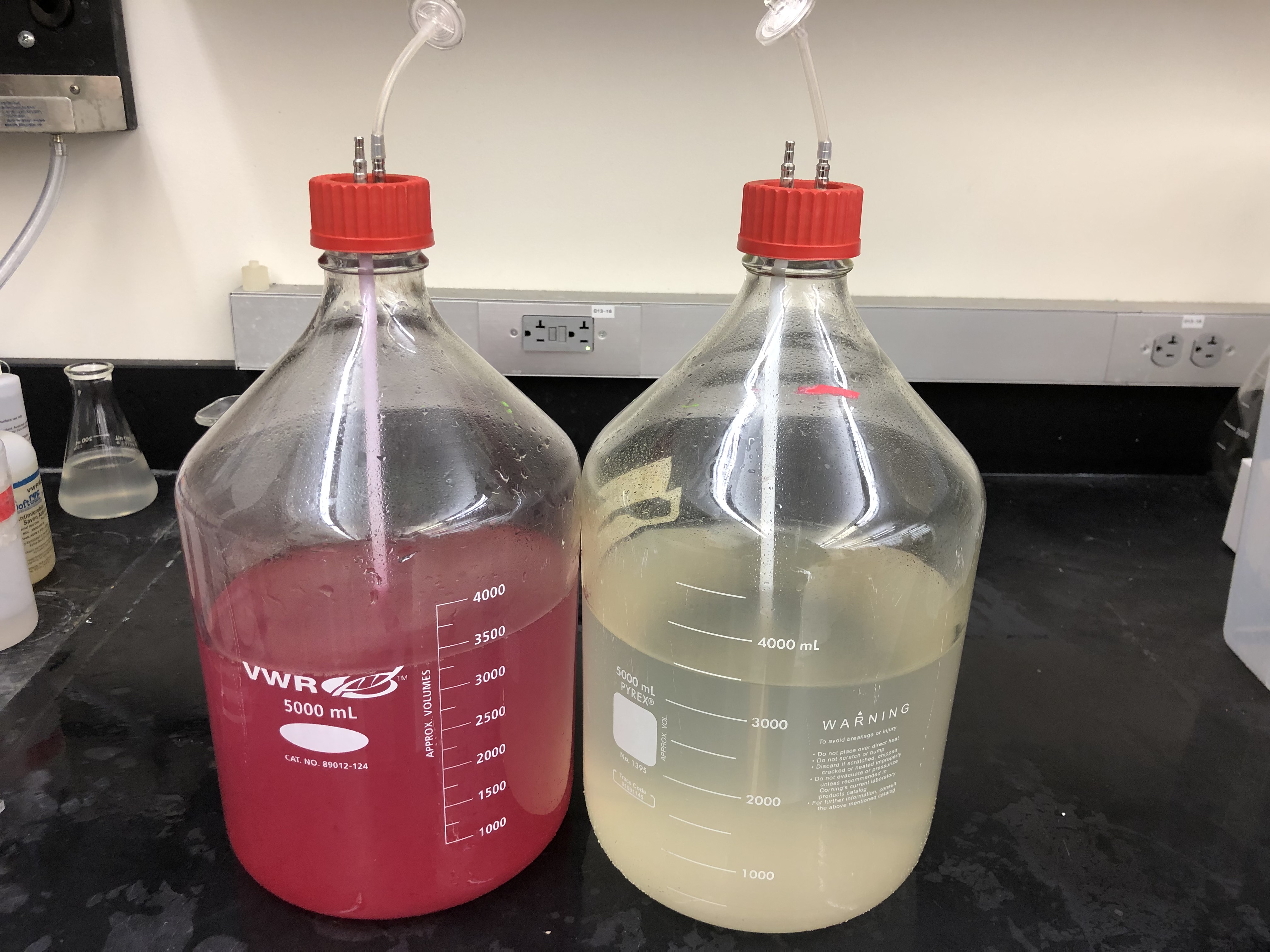 McRose Lab
